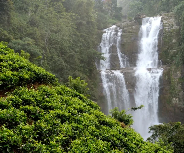 Tour Package in Kerala