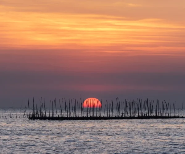 oyster-farm-sea-beautiful-sky-sunset-background copy